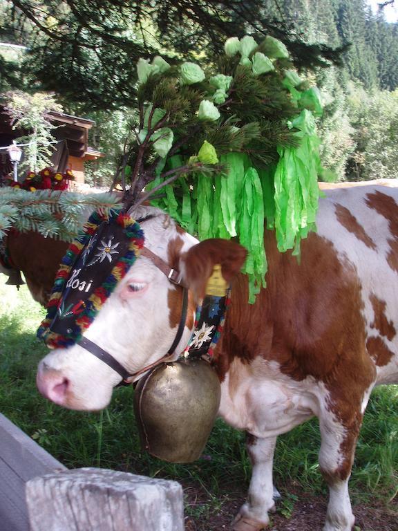 Ferienwohnung Wohlfartstaetter Auffach Zewnętrze zdjęcie